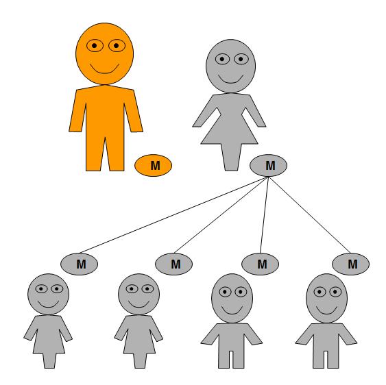 Mitochondrial genetic inheritance pattern when the father is affected.